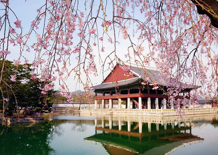 cung điện hoàng gia Gyeongbok 4